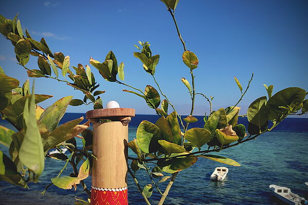 L'apparence du capteur de microclimat n'est limitée que par votre imagination. Elle est presque indépendante du fonctionnement du remplissage électronique