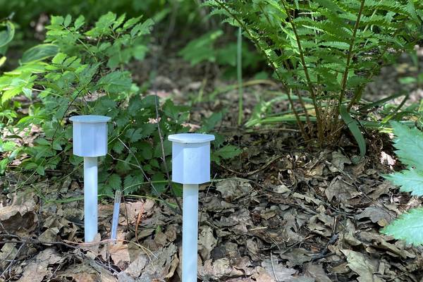 Plage de températures de fonctionnement prévue: de -50 °C à +50 °C