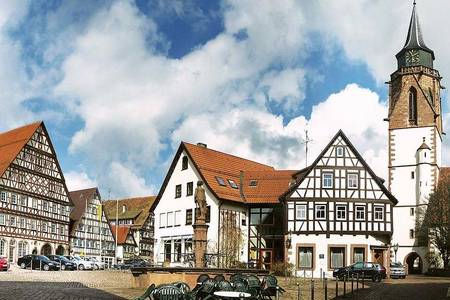 Modern Europe, Half-timbered houses. When, due to the high cost of urban land, houses had to be raised several floors, a wooden frame had to be added to the traditional clay dough