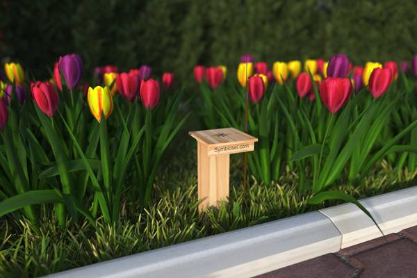 You will save a lot of effort and time if, already at the planning stage, you understand how to provide each new plant in the garden with its own, unique ecological niche that is comfortable for it alone. In my opinion, external microclimate sensors can be a great help with this