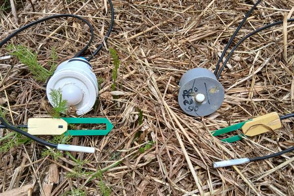 Les capteurs Symbiosei à sondes déportées en cours d'installation
