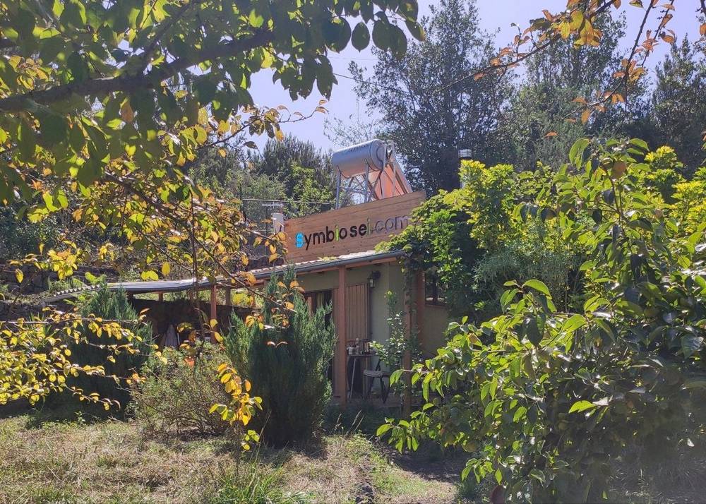The Symbiosei R&D Center is a certified eco-farm and our first controlled ecosystem. It features full microclimate monitoring via Home Assistant, solar power generation, a negative carbon footprint, and a smart irrigation system. Rainwater harvested during the winter provides enough supply for the entire summer